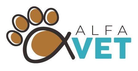 Alfavet - Clínica Veterinaria